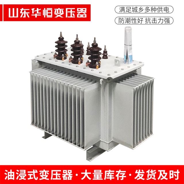 S11-10000/35东昌府东昌府东昌府电力变压器价格